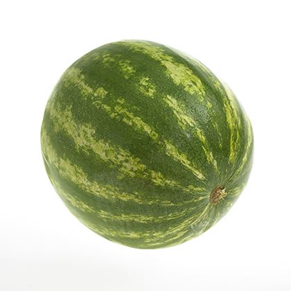 BB Water Melon Single