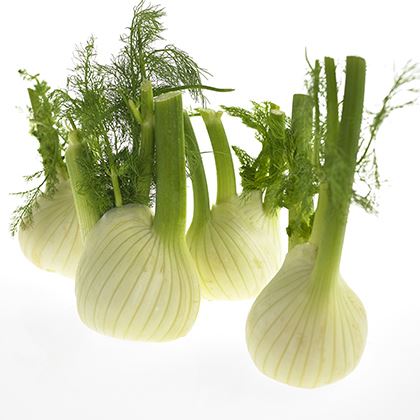 BB - Fennel Loose