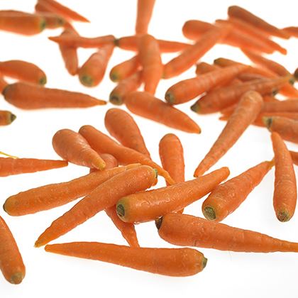 Mini Carrot Prepack SA. Airfreight