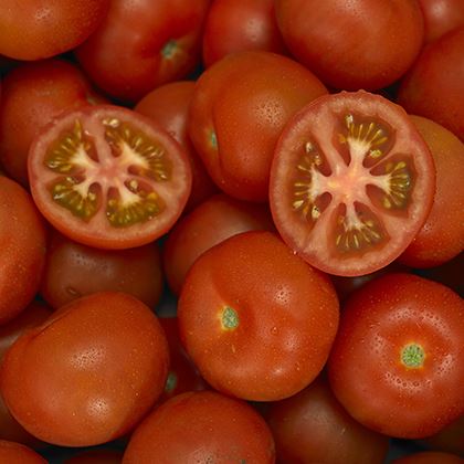 Round Tomatoes 1m-2m (47-67mm) (Case of 1)