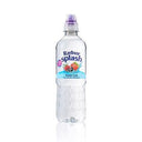 Radnor Splash Summer Fruits Bottle (Case of 24)
