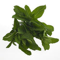 BB - Mint