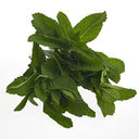 BB - Mint