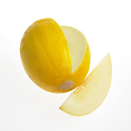 BB - Honeydew Melon Medium