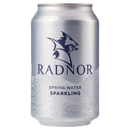 Radnor Sparkling Water Can (Case of 24)
