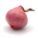 BB - Roscoff Pink Onions