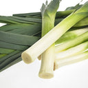 Leek Green (Case of 1)
