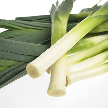 Leek Green