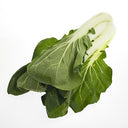 BB - Pak Choi