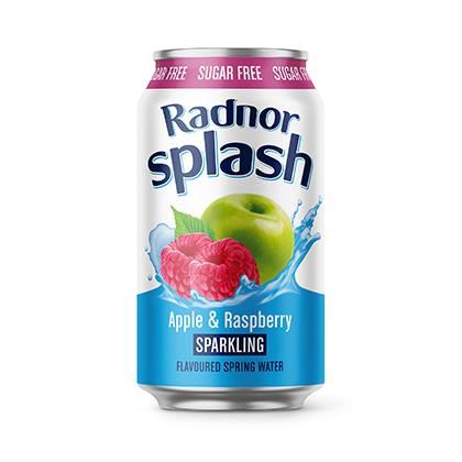 Radnor Splash Apple and Raspberry Sparkling 330ml can (Case of 24)