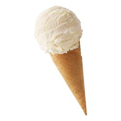 Kelly's Vegan Vanilla Bean