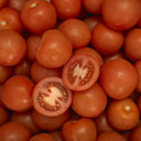 Tomato Round 2m  47-57mm