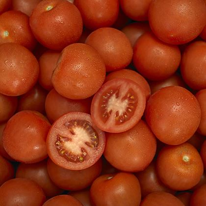 Tomato Round 2m  47-57mm