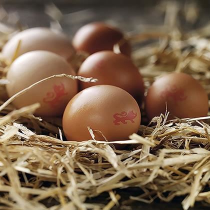 Large Fresh Eggs. Product Discounted due to limit on shelf life