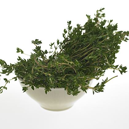 BB - Herb Lemon Thyme