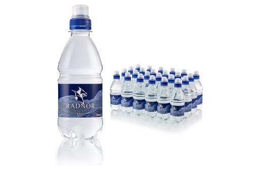 Radnor Hills Still Natural Mineral Water 330ml