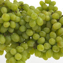 Green Seedless Grape (Case of 1)