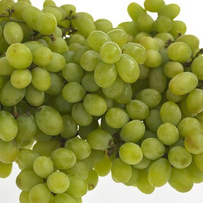 Green Seedless Grape