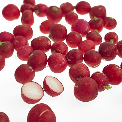 Radish Pre-Pack