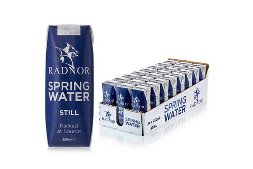 Radnor Still Spring Water 250ml