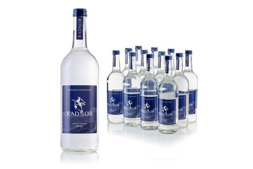 Radnor Hills 750ml Still Glass Natural Spring Water