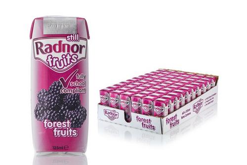 Radnor Fruits Forest Fruit Drink