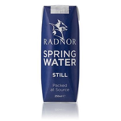 Radnor Still Water Carton (Case of 24)