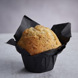SBake Classic Lemon Muffin 24 (Case of 24)