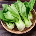 Bok Choi (Case of 1)