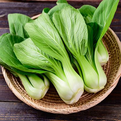 Bok Choi (Case of 1)