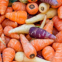 Baby Heritage Rainbow Carrot Airfreight