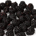 Blackberries
