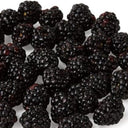 Blackberries (Case of 5)