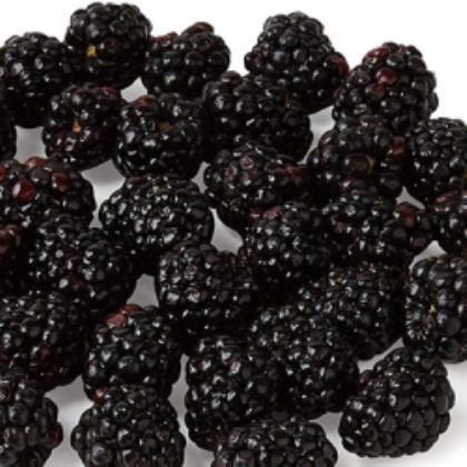 Blackberries (Case of 5)