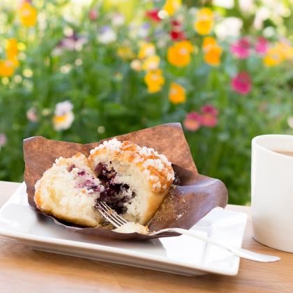 Gluten Free Domed Blueberry Muffin