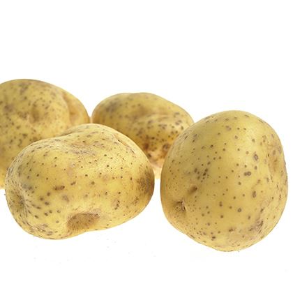 BB - Potato Jacket Baking PP