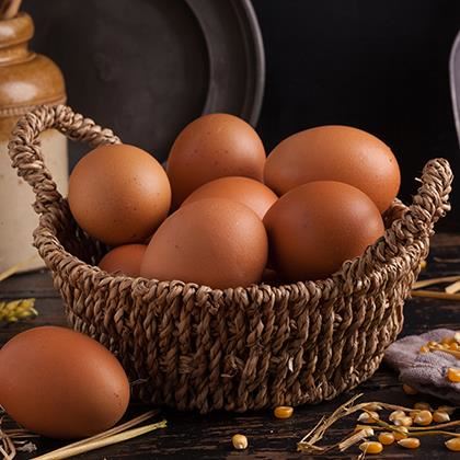 EU Free Range Medium Eggs - Limited Shelf Life