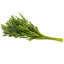 BB - Micro Rock Samphire  D4
