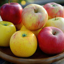 Cooking Apple (Case of 1)