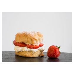 Plain Scone Baked (Case of 1)
