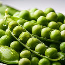BB - Pea Shoots