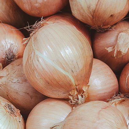 White Onions