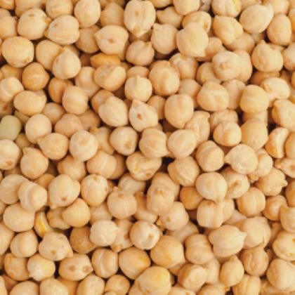 Chick Peas in Water (Case of 6)