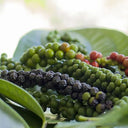 BB - Peppercorn Fresh Young Green & Black