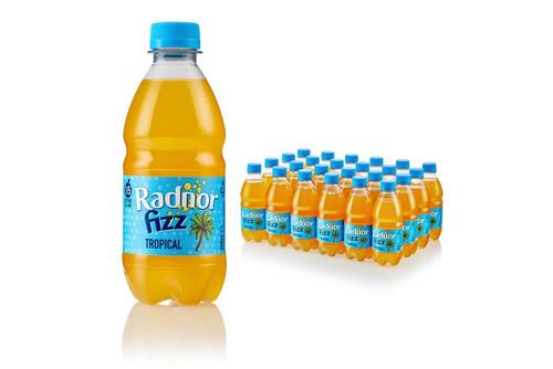 Radnor Fizz 330ml 45% Tropical