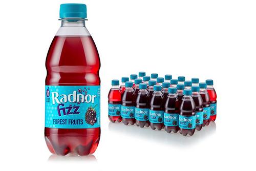 Radnor Fizz Fizz Forest Fruits