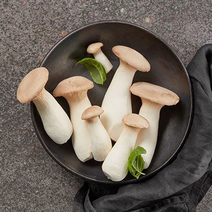 Eryngi King Oyster Mushrooms