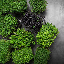 BB - Micro Inspired Leaf Mix