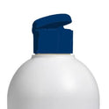 Ecolab Flip Top Caps Blue