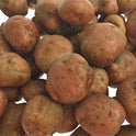 Red Potatoes (Washed)